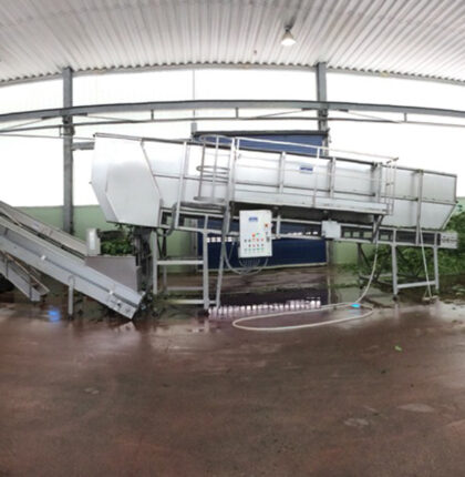 Linea vegetali in foglia