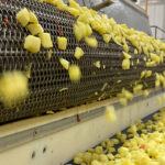 Linea vegetali grigliati