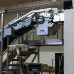 Linea automatica di surgelazione e confezionamento