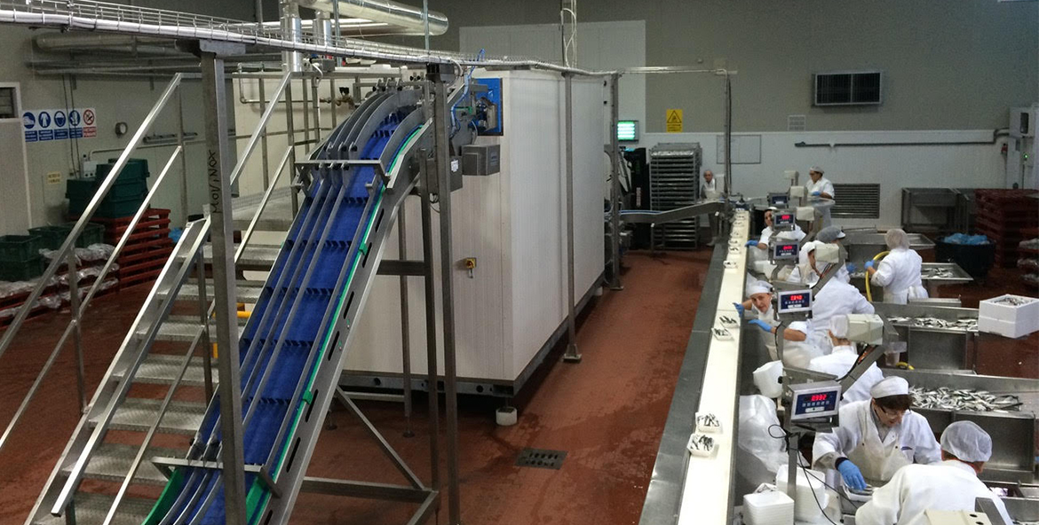 Linea automatica di surgelazione e confezionamento