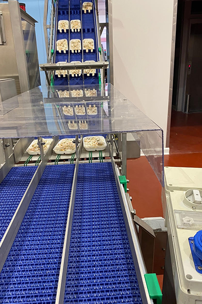 Ittico-linea automatica di surgelazione e confezionamento