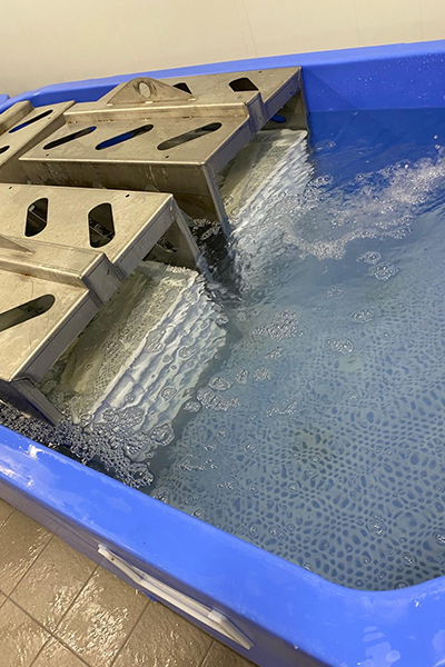 Impianti per Ammollo e Dissalatura Movinox