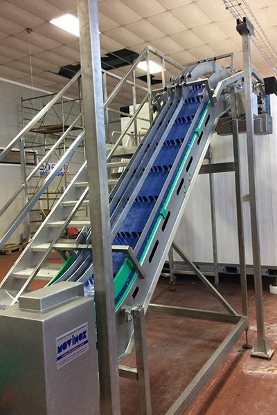 Linea automatica di surgelazione e confezionamento