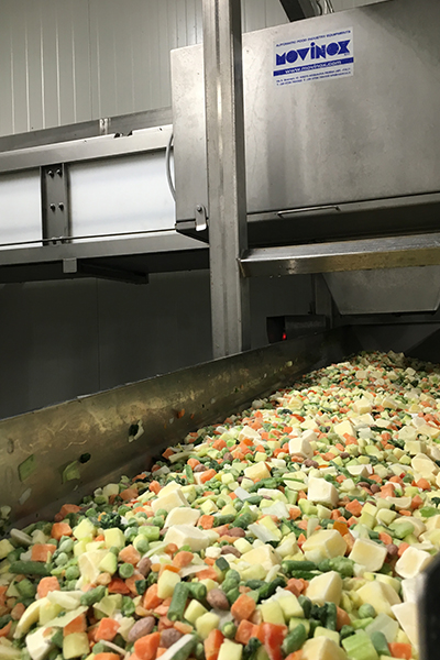 Linea mix IQF ittico e vegetali