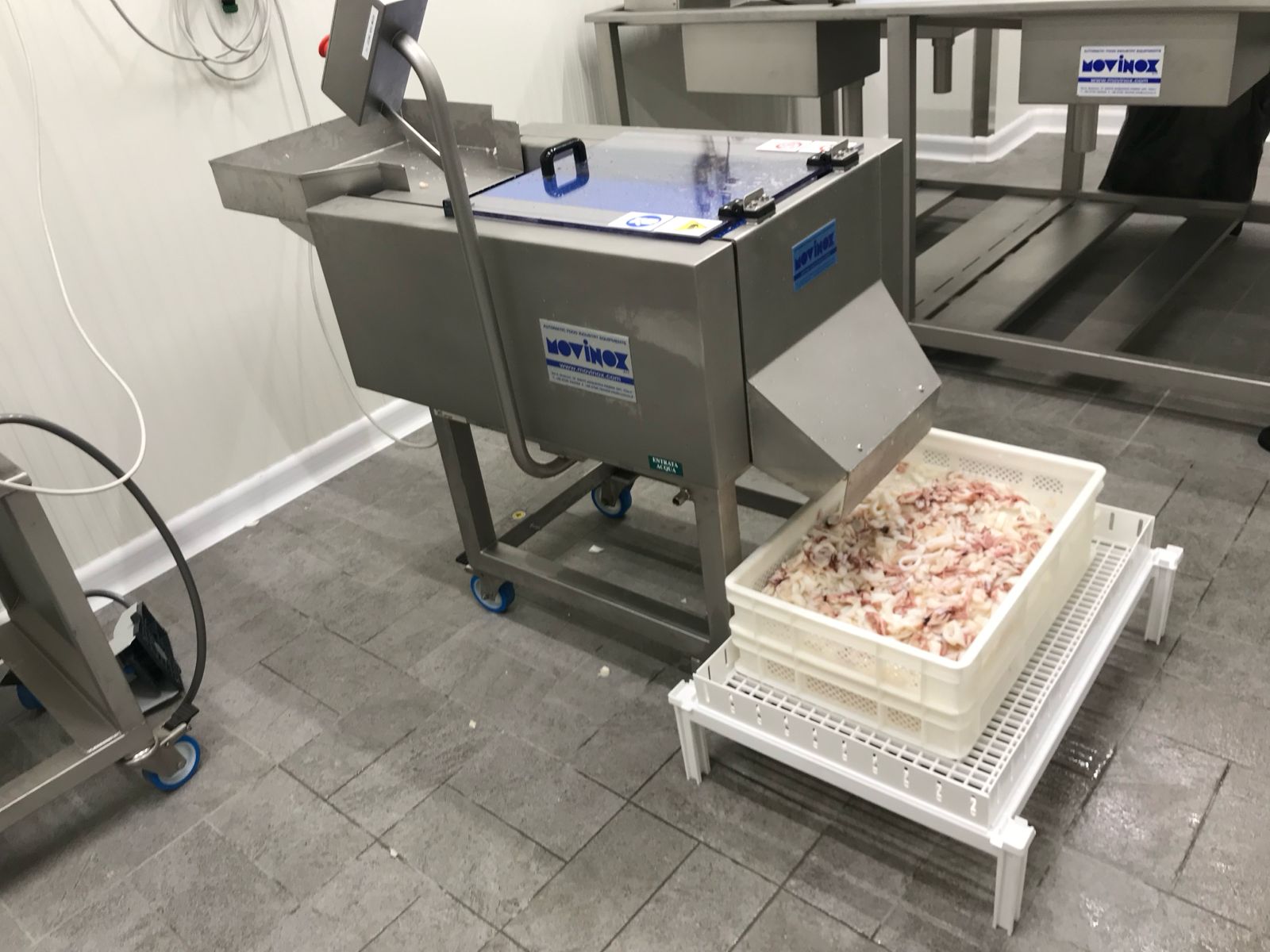 WhatsApp Image 2026-01-29 at 18.01.08