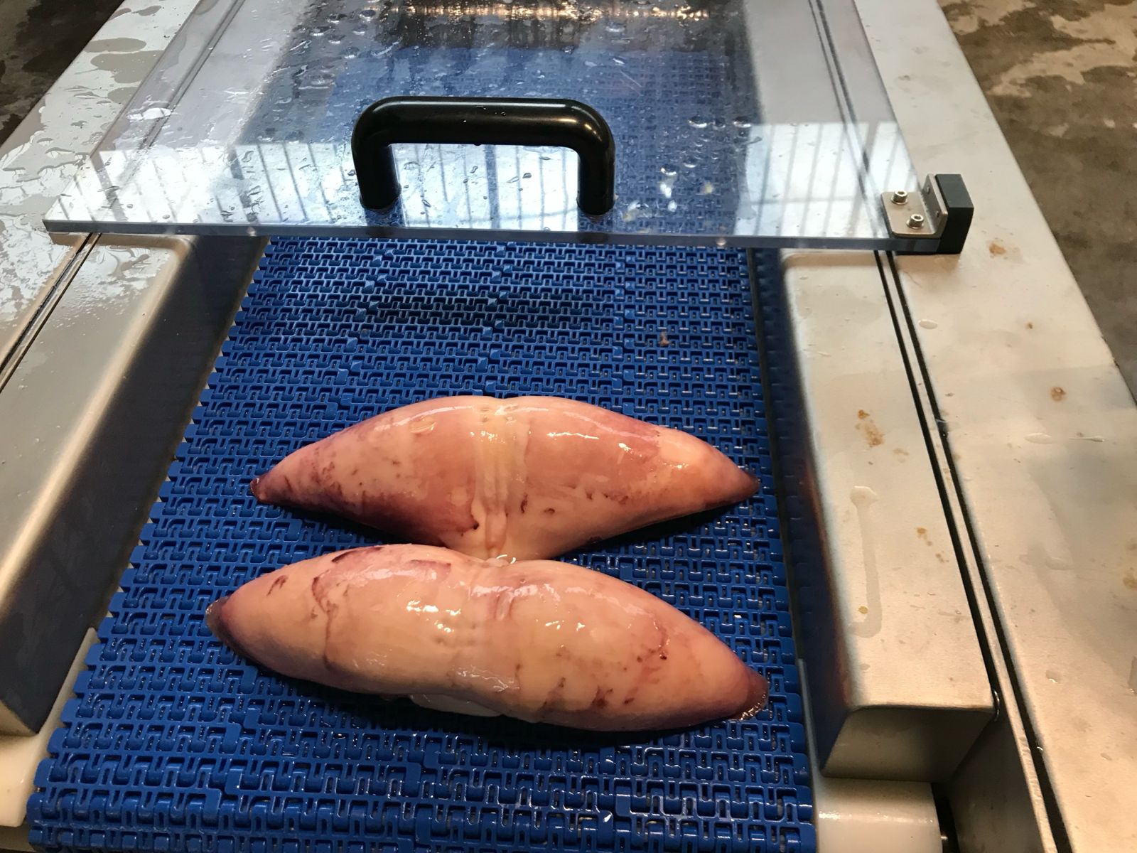 WhatsApp Image 2026-01-29 at 18.01.10