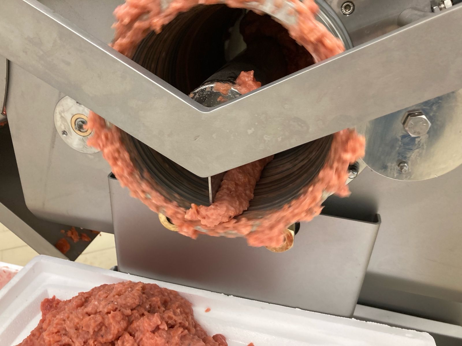 WhatsApp Image 2026-01-29 at 18.05.50 (1)