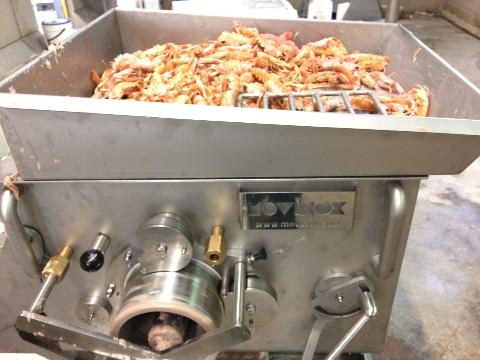 WhatsApp Image 2026-01-29 at 18.07.09