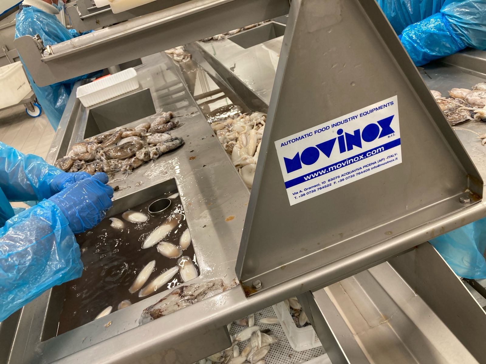 WhatsApp Image 2026-01-29 at 18.09.42 (1)