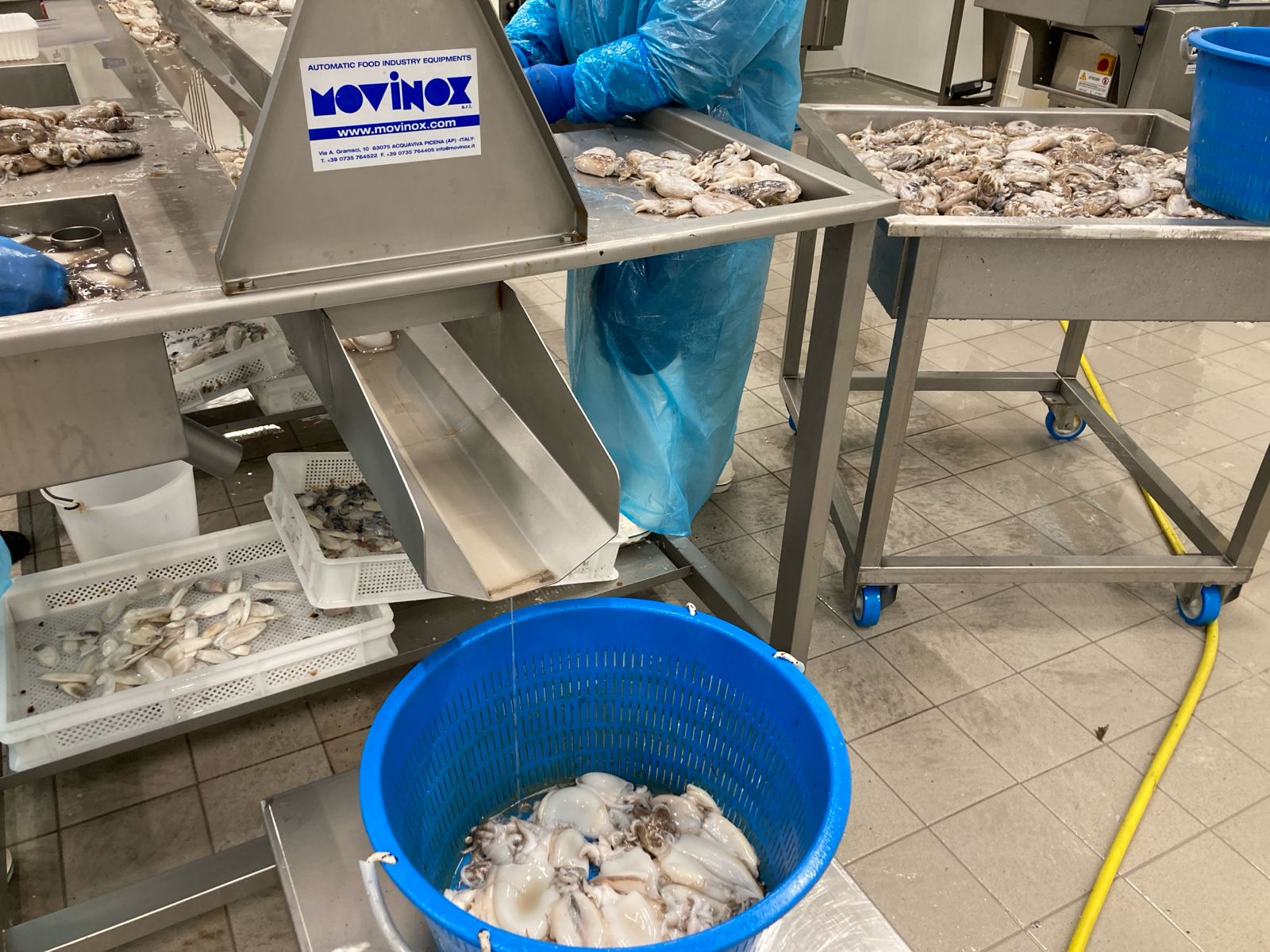 WhatsApp Image 2026-01-29 at 18.09.42 (2)