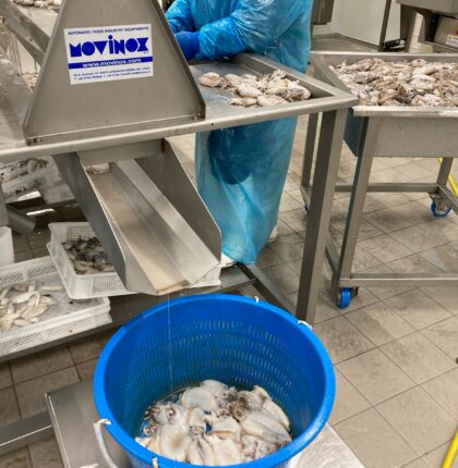 WhatsApp Image 2026-01-29 at 18.09.42 (2)