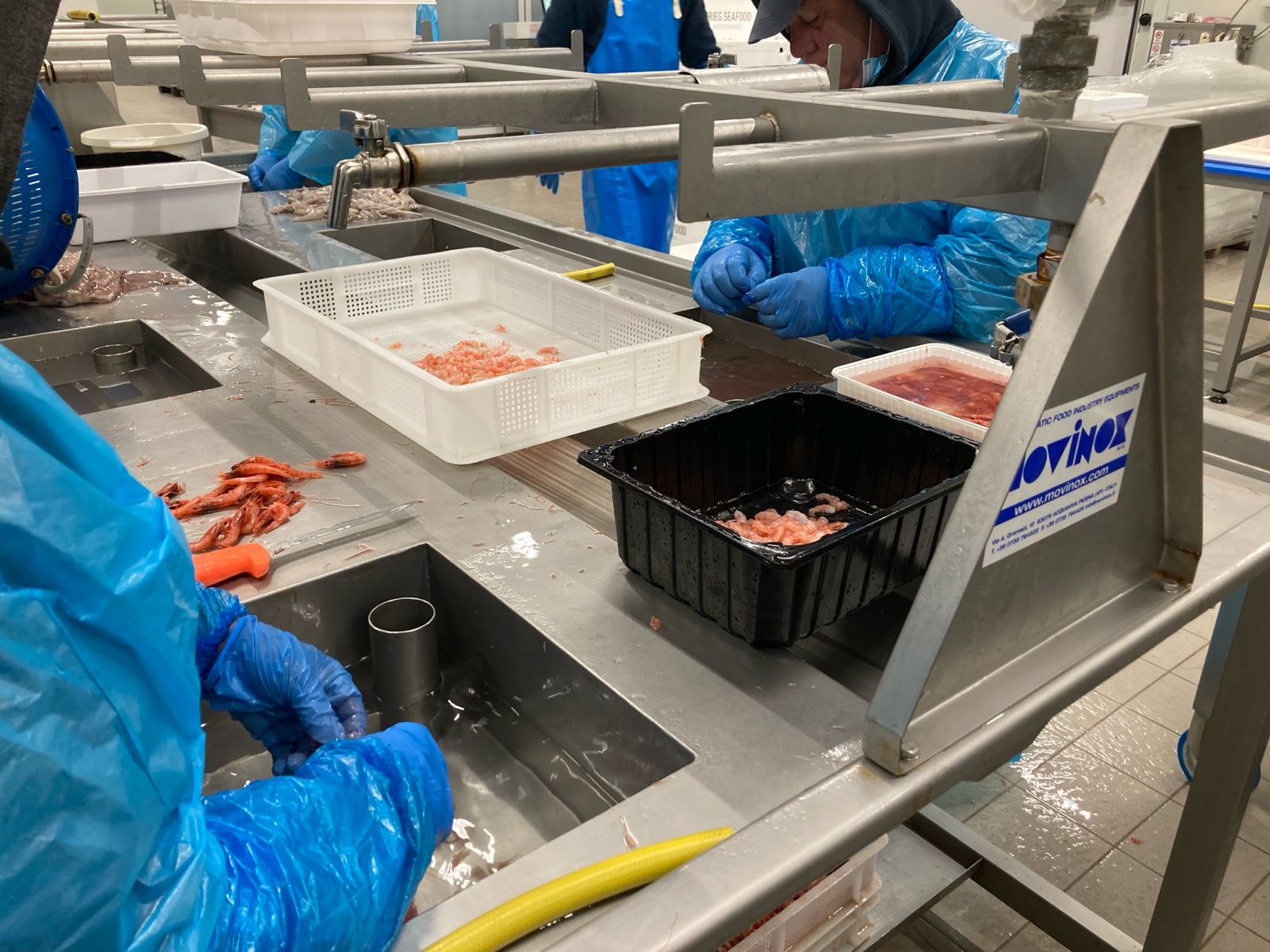 WhatsApp Image 2026-01-29 at 18.09.43 (7)