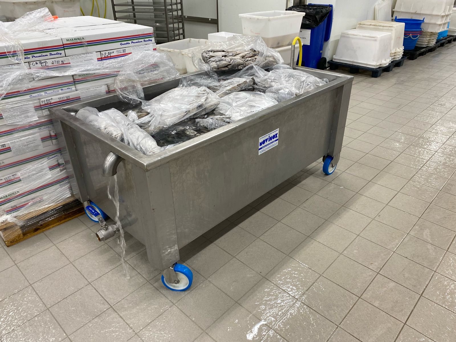 WhatsApp Image 2026-01-29 at 18.10.55 (1)