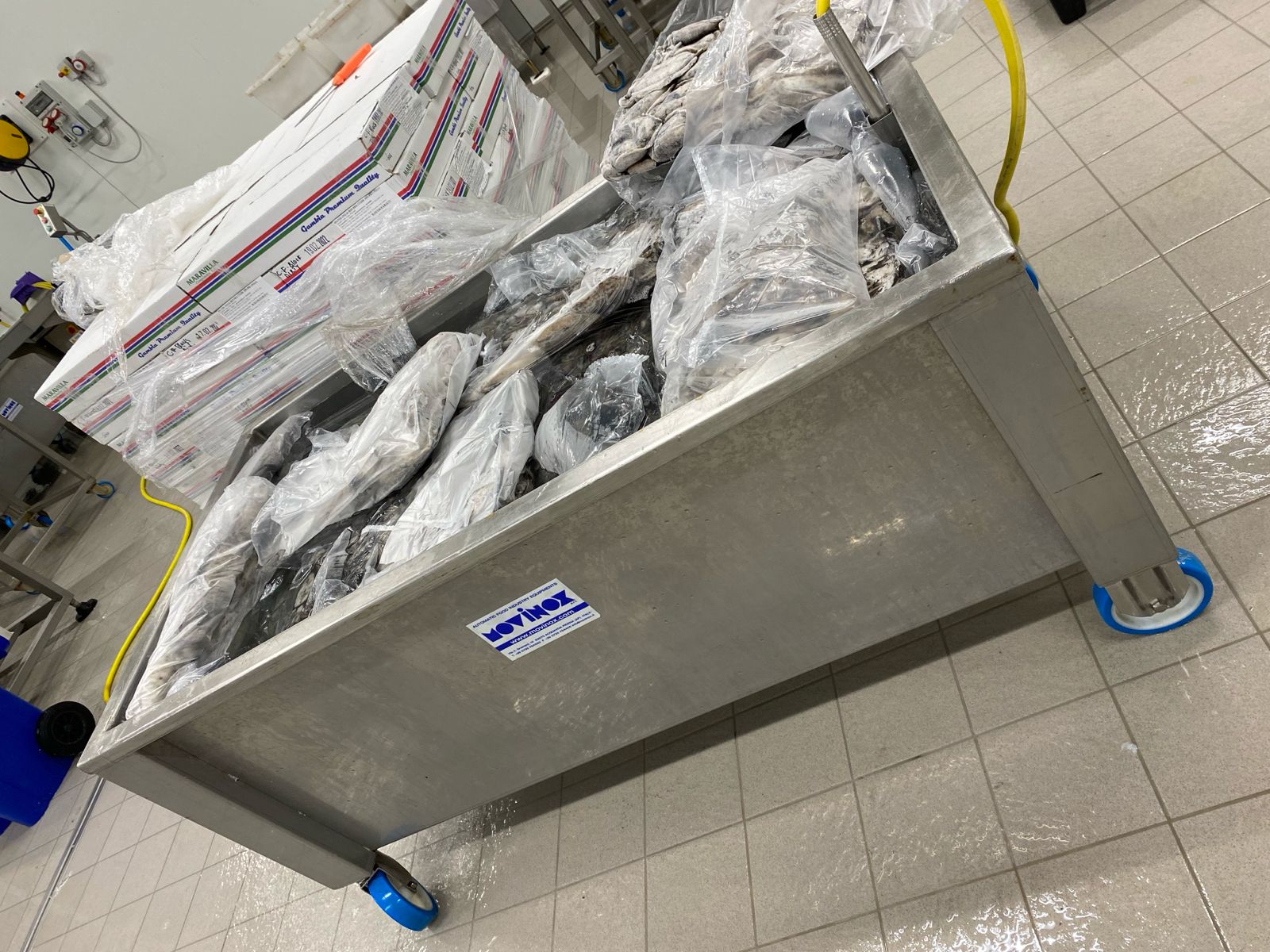 WhatsApp Image 2026-01-29 at 18.10.55 (2)