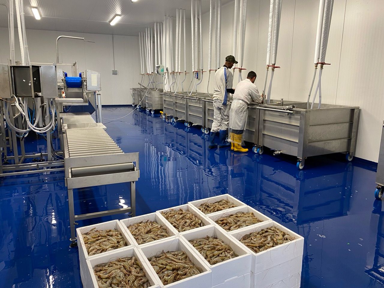 WhatsApp Image 2026-01-29 at 18.18.42 (1)