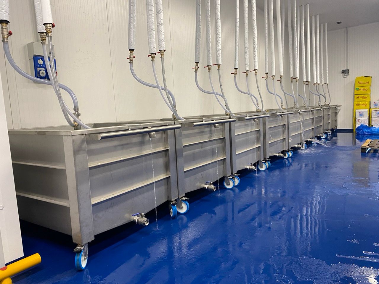 WhatsApp Image 2026-01-29 at 18.18.42 (5)