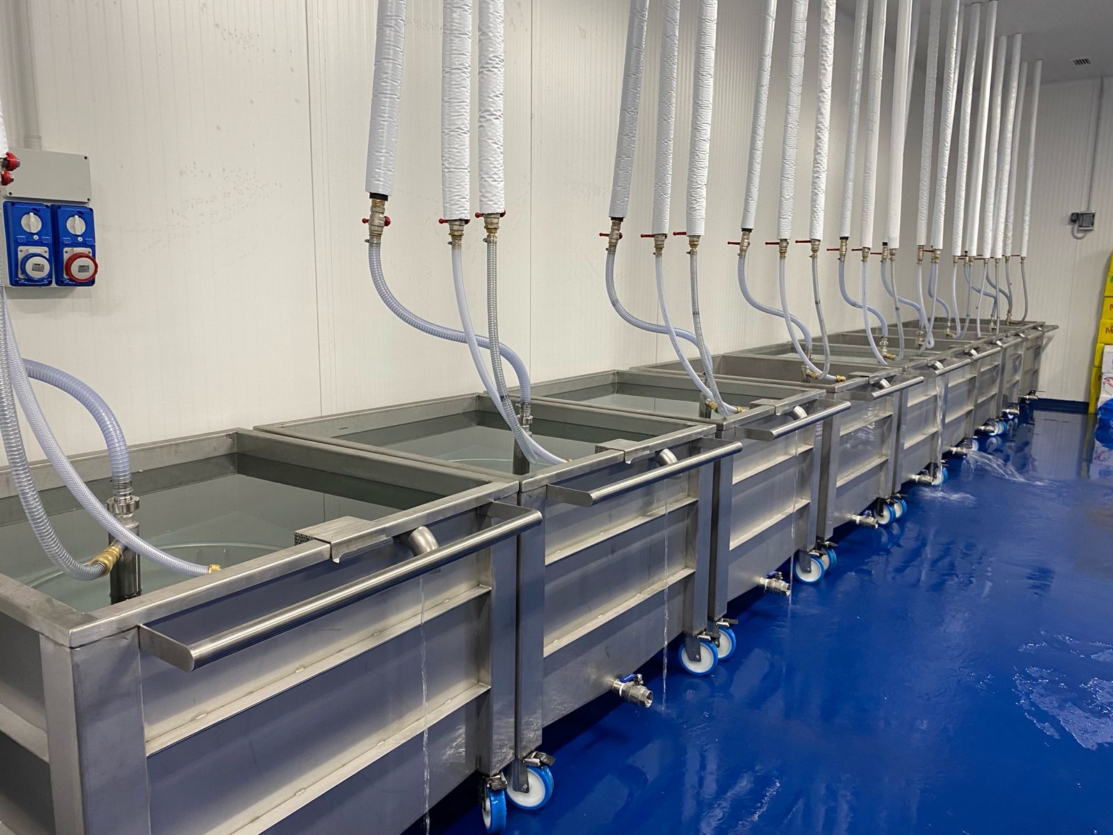 WhatsApp Image 2026-01-29 at 18.18.42 (6)