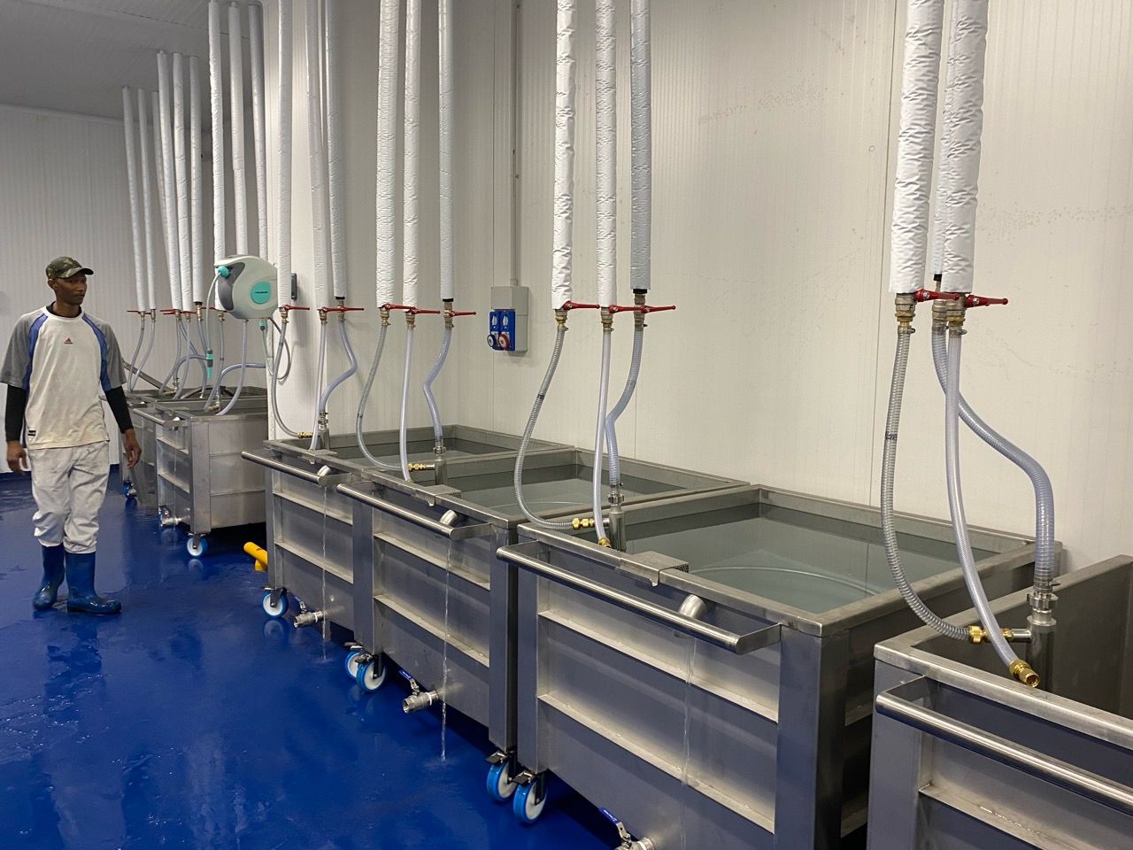 WhatsApp Image 2026-01-29 at 18.18.42 (8)