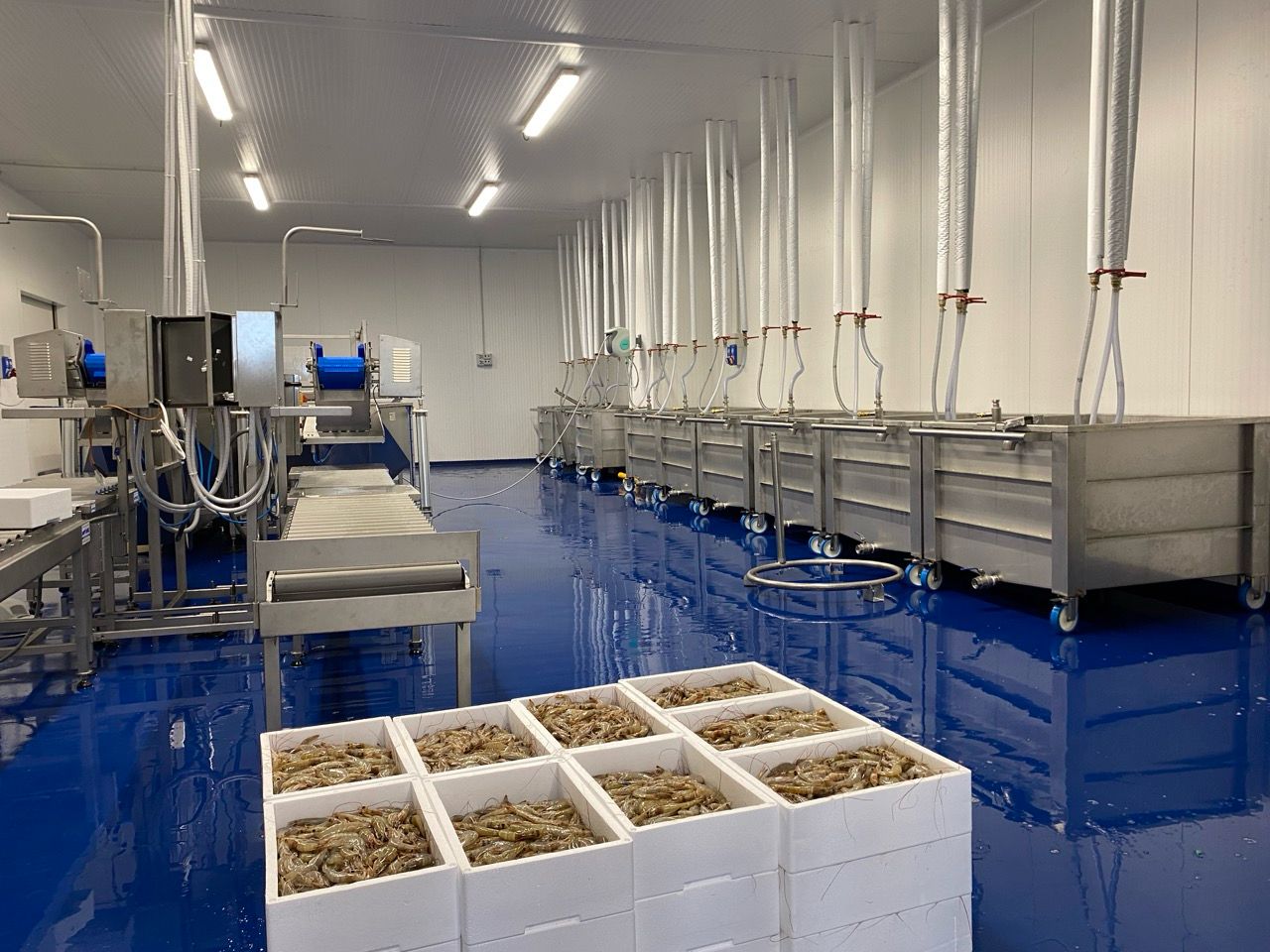 WhatsApp Image 2026-01-29 at 18.18.42