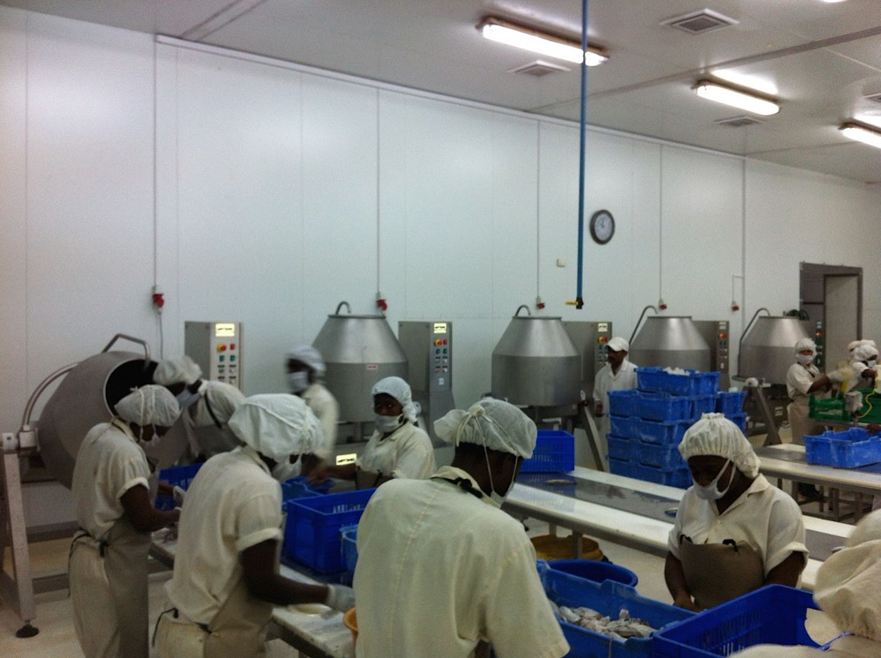 WhatsApp Image 2026-01-29 at 18.22.05 (1)